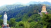 อำเภอทับปุด