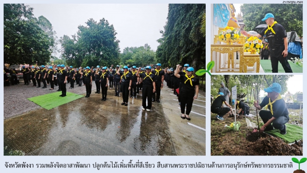 จังหวัดพังงา รวมพลังจิตอาสาพัฒนา ปลูกต้นไม้เพิ่มพื้นที่สีเขียว สืบสานพระราชปณิธานด้านการอนุรักษ์ทรัพยากรธรรมชาติ