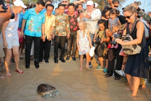 จังหวัดพังงาปล่อยเต่าตนุ 100 ตัว กลับสู่ทะเล ในงานอนุรักษ์เต่าทะเล