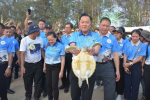 จังหวัดพังงา เปิดงานประเพณีอนุรักษ์เต่าทะเลจังหวัดพังงา ประจำปี 2567