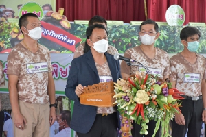 จังหวัดพังงา ภาคเอกชน และเกษตรกรผู้ปลูกมังคุด 5 อำเภอ ร่วมมือร่วมใจ &ldquo;ผลิตมังคุดซื่อสัตย์&rdquo; มังคุดคุณภาพทานได้ทุกลูกสู่ผู้บริโภค