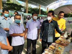 รองนายกรัฐมนตรีและรัฐมนตรีว่าการกระทรวงสาธารณสุข ประธานในพิธีเปิดการประชุมเชิงปฏิบัติการกัญชาทางการแพทย์ เขตสุขภาพที่ 11&ldquo;มหกรรมกัญชาทุกทิศ เพื่อเศรษฐกิจและการแพทย์&rdquo; เขตสุขภาพที่ 11