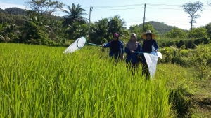 เกษตรอำเภอเกาะยาวจังหวัดพังงาจัดกิจกรรมโรงเรียนเกษตรชาวนา
